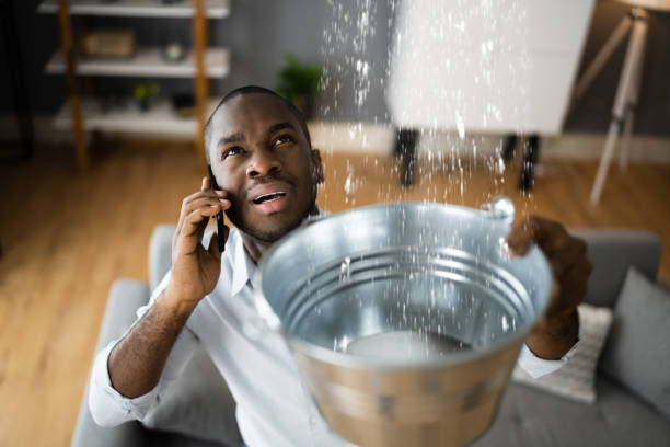 Best Water damage restoration process  in Independence, OH