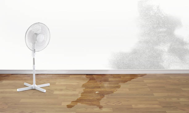 Best Residential water damage restoration  in Independence, OH